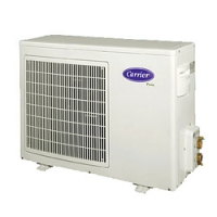 30RA 009 Carrier - �������